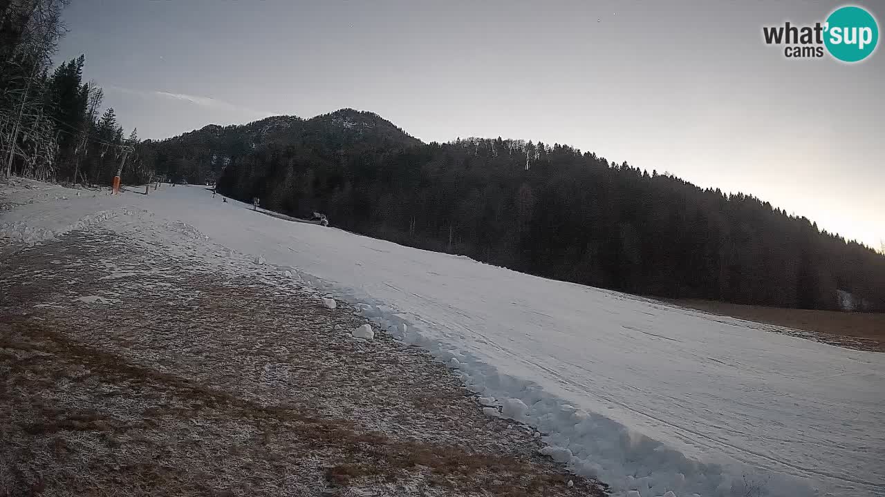 Ski Kranjska Gora | Brsnina