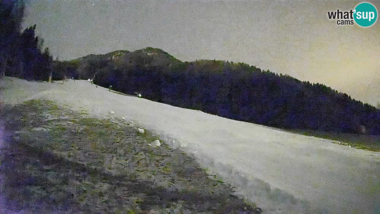 Kranjska Gora Station de ski | Brsnina