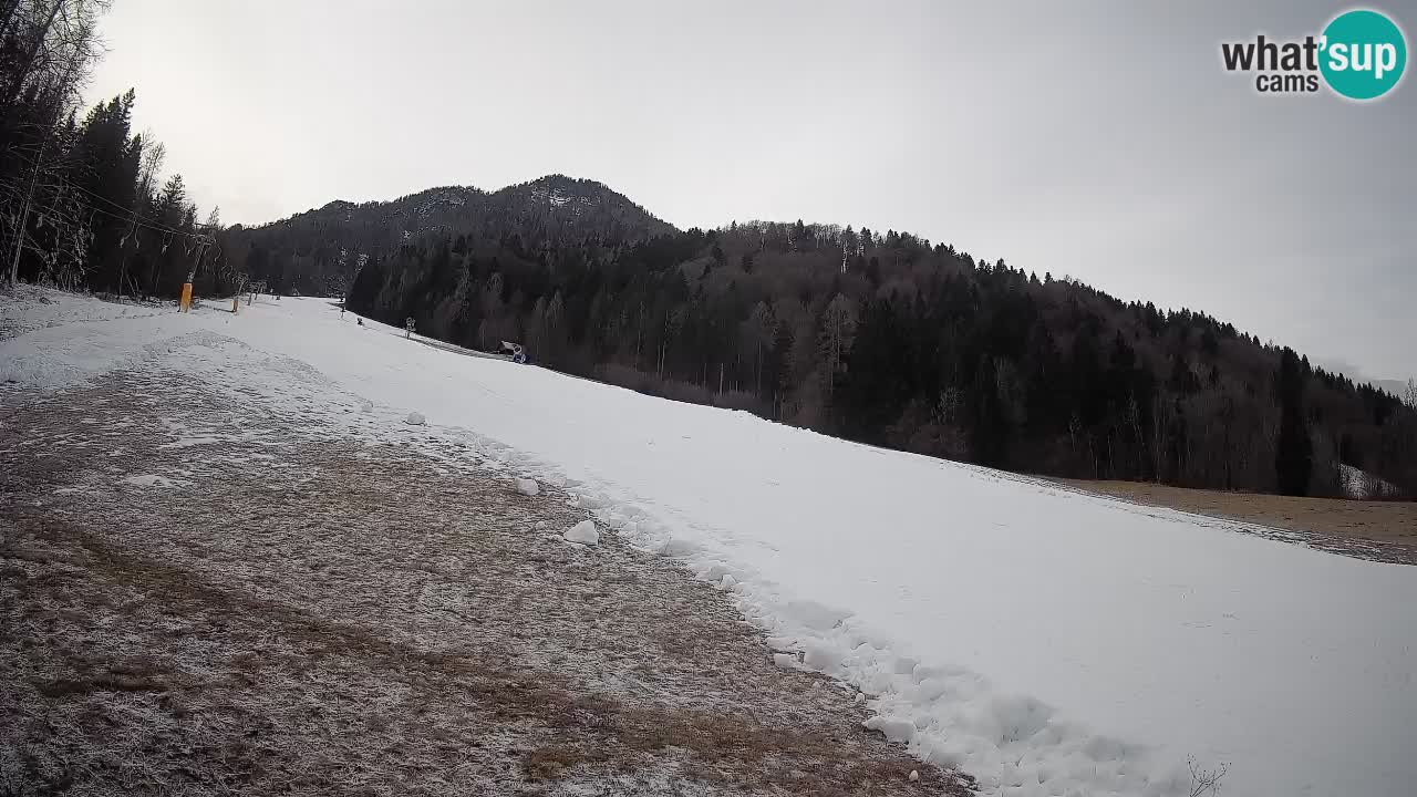 Kranjska Gora Station de ski | Brsnina
