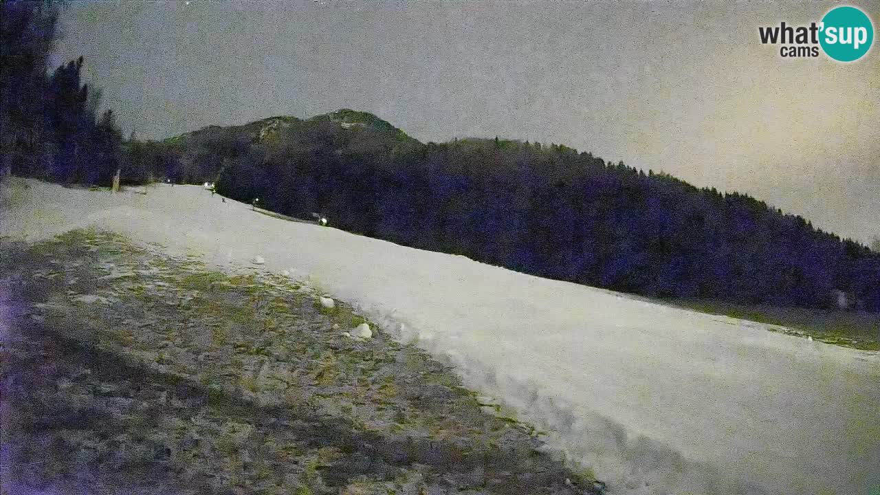 Esquí Kranjska Gora | Brsnina