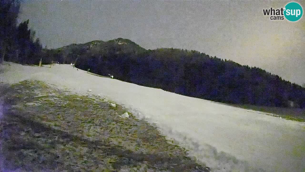 Kranjska Gora SKIJANJE | Brsnina