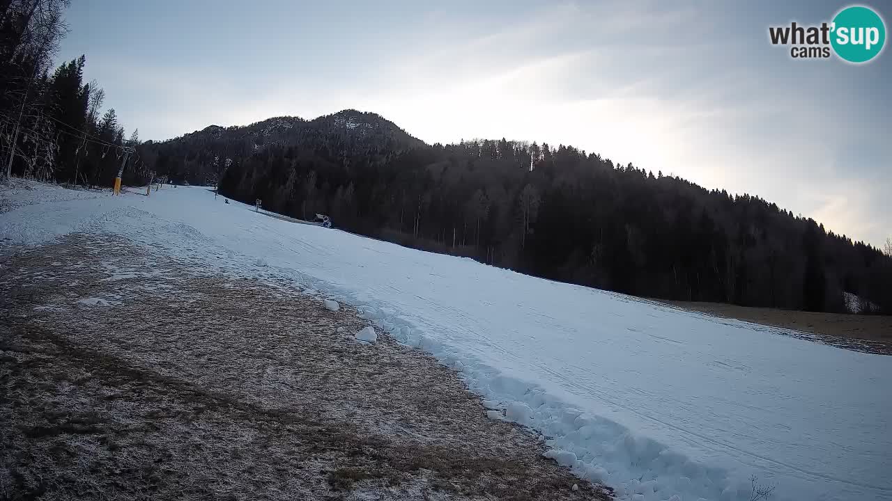 Kranjska Gora SKIJANJE | Brsnina