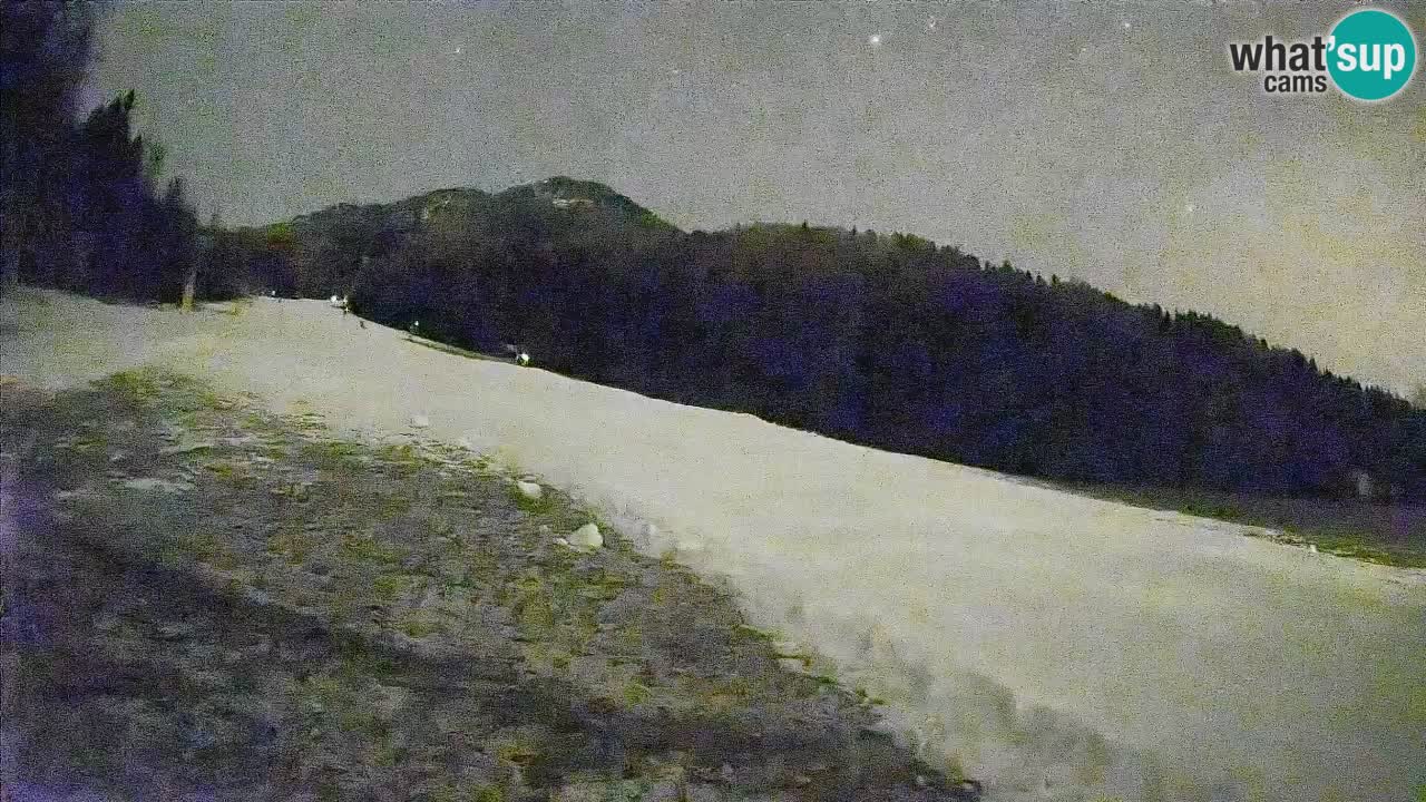 Ski Kranjska Gora | Brsnina