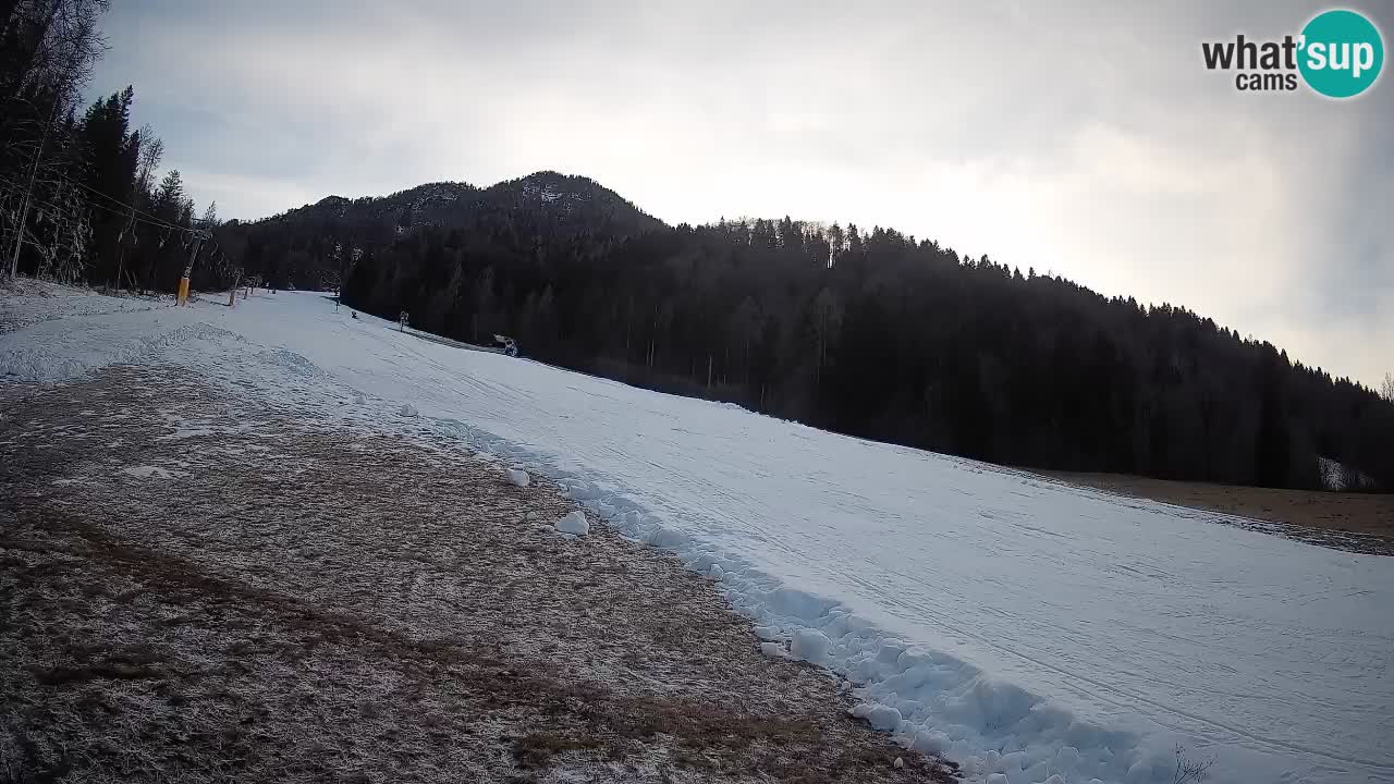 Ski Kranjska Gora | Brsnina