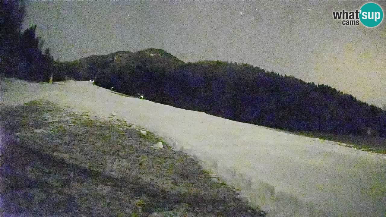 Kranjska Gora Station de ski | Brsnina