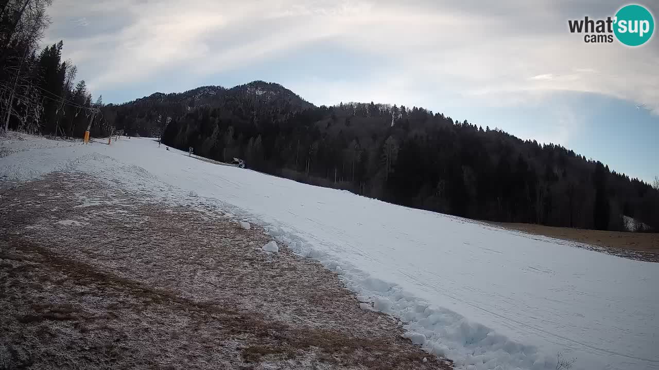 Kranjska Gora Station de ski | Brsnina