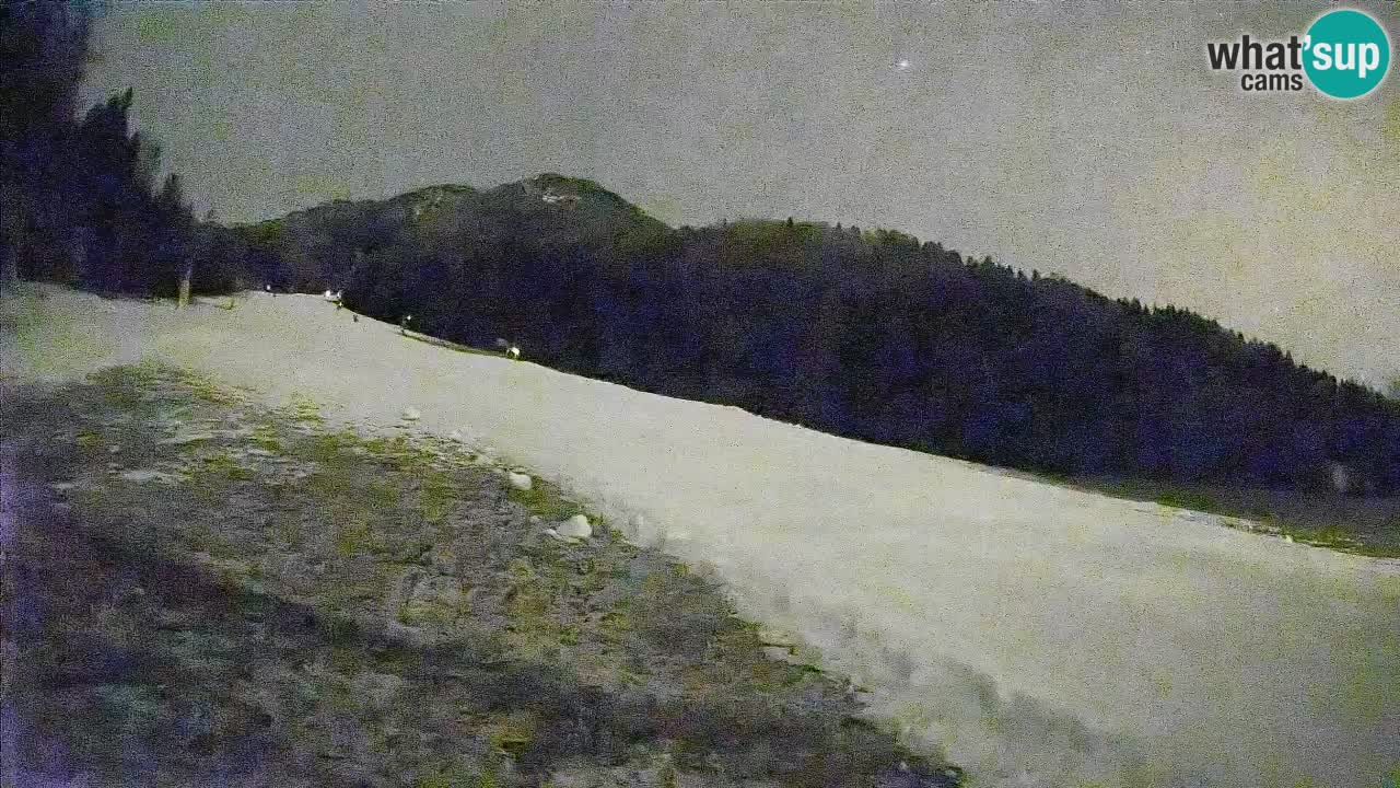 Comprensorio sciistico Kranjska Gora | Brsnina