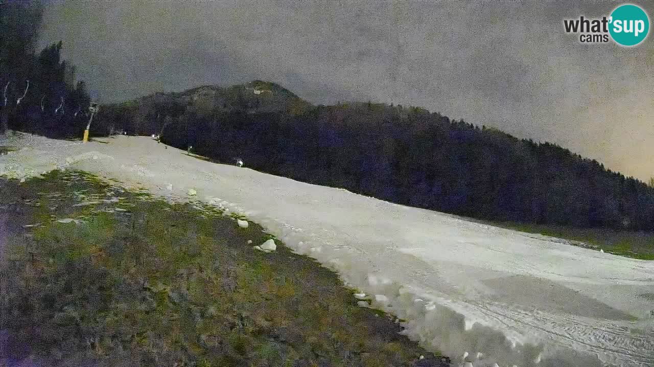 Ski Kranjska Gora | Brsnina