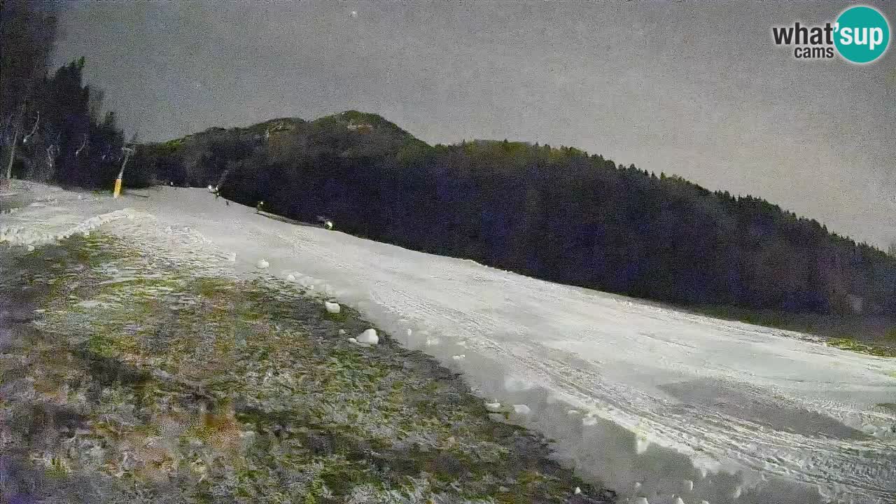 Comprensorio sciistico Kranjska Gora | Brsnina