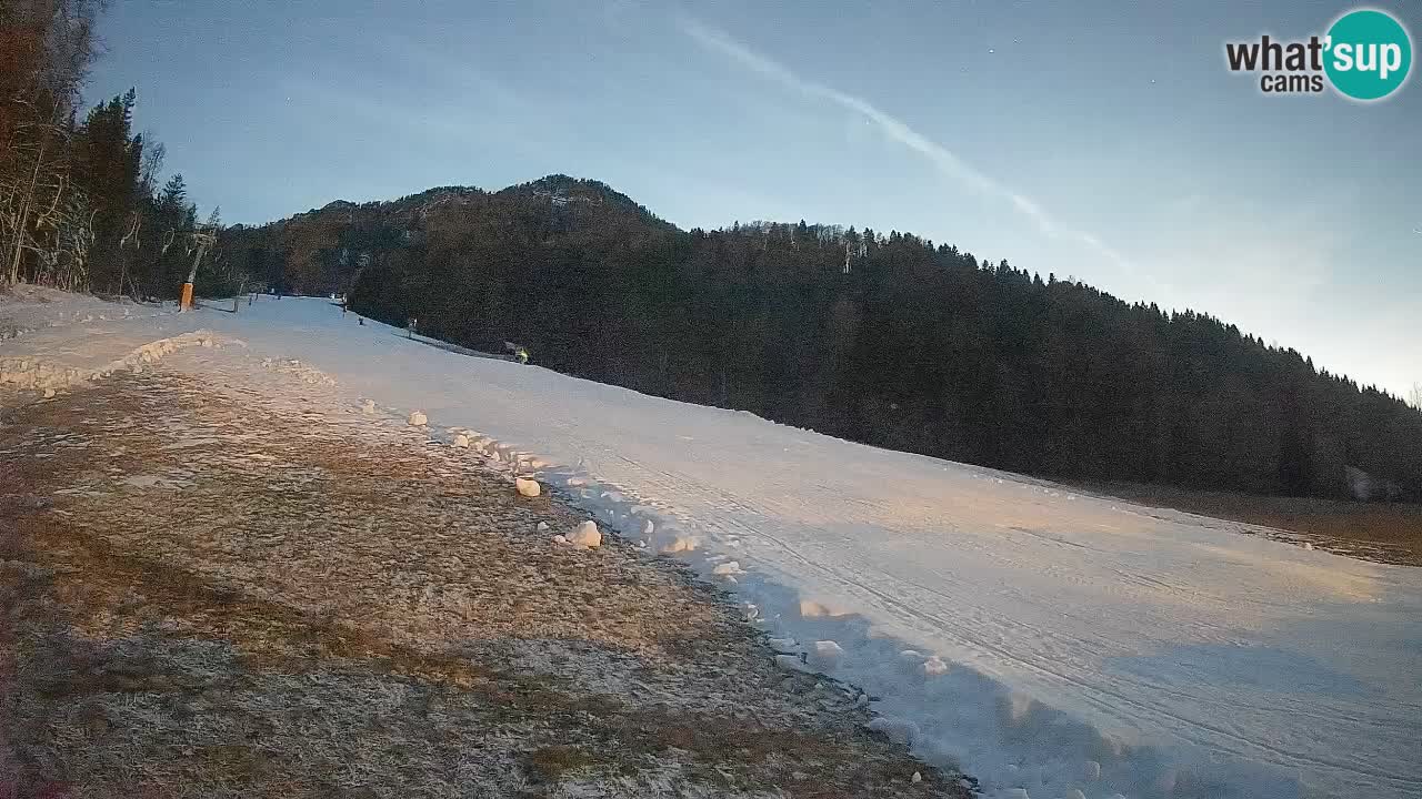 Kranjska Gora Station de ski | Brsnina