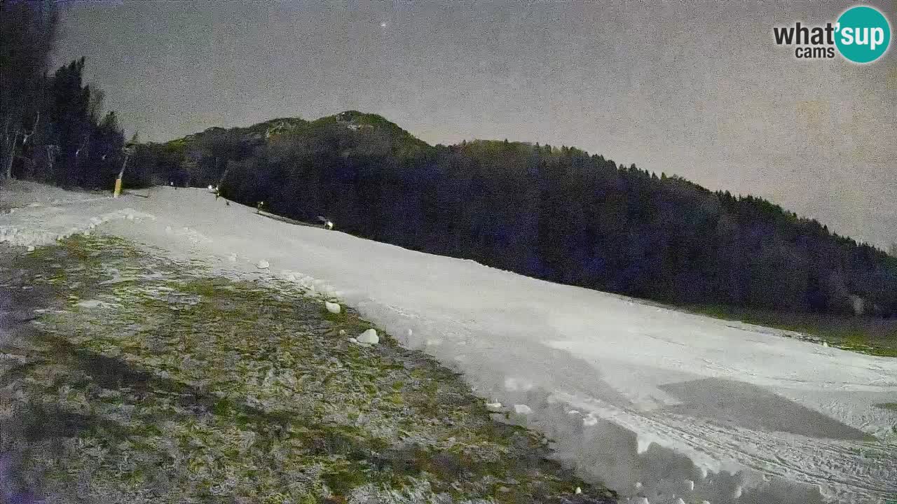 Ski Kranjska Gora | Brsnina