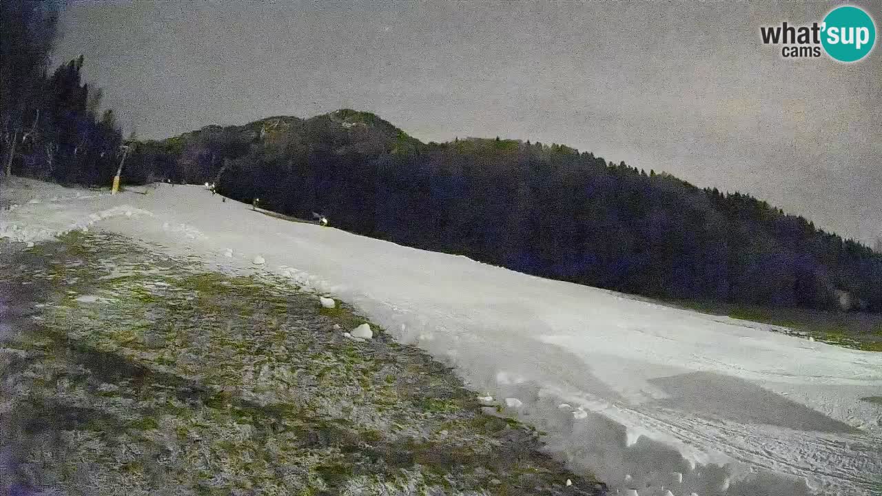 Esquí Kranjska Gora | Brsnina