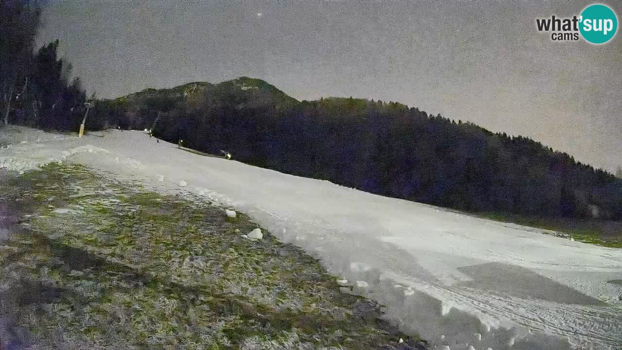 Kranjska Gora SKIJANJE | Brsnina
