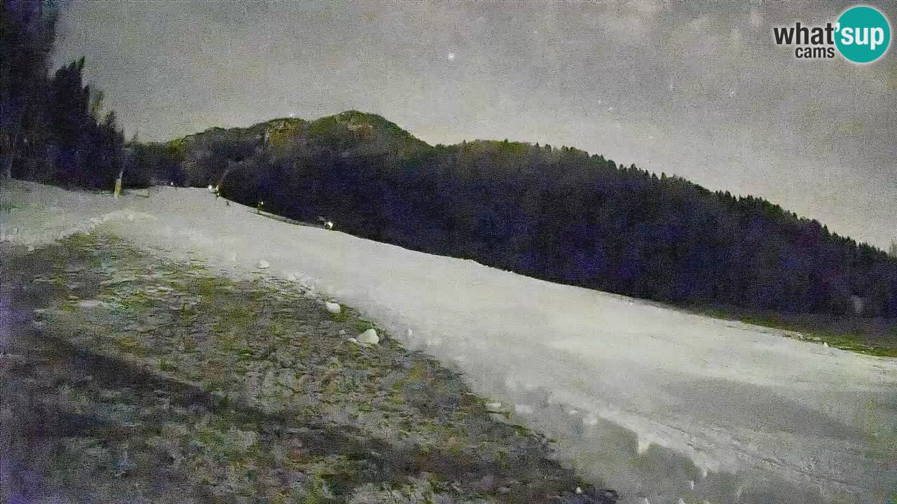 RTC Skigebiet Kranjska Gora | Brsnina