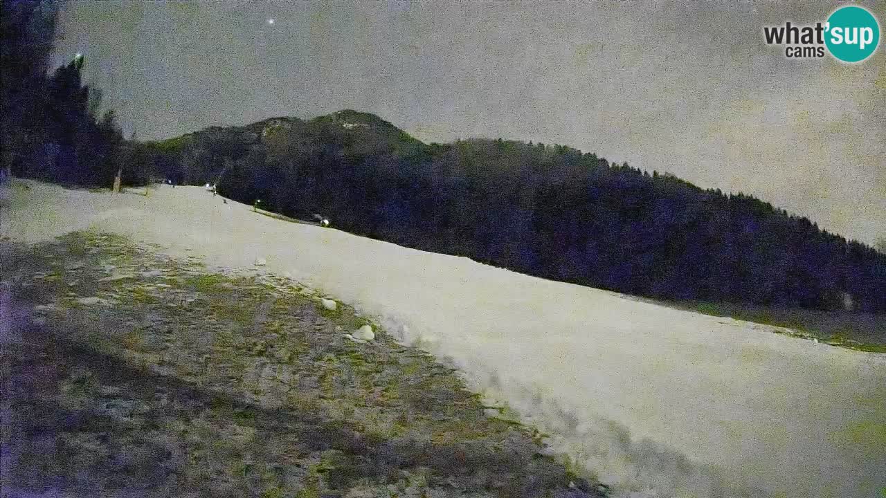 RTC Kranjska Gora | Brsnina