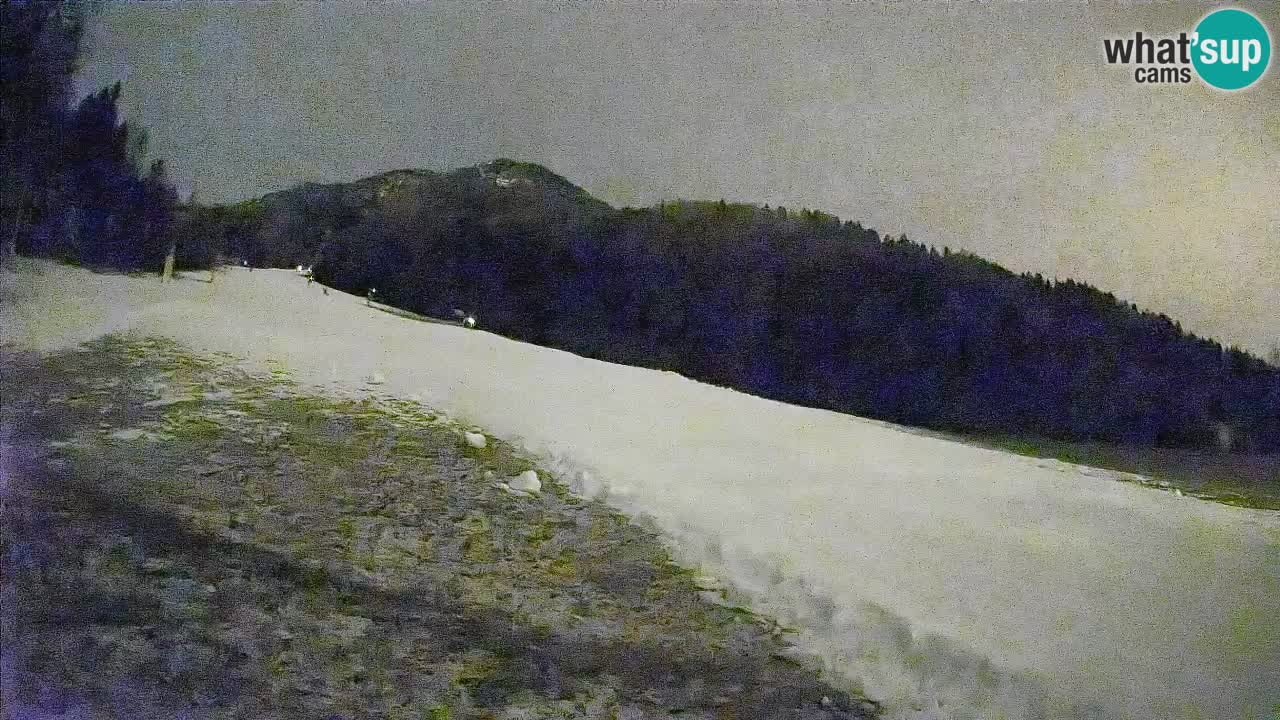 RTC Kranjska Gora | Brsnina