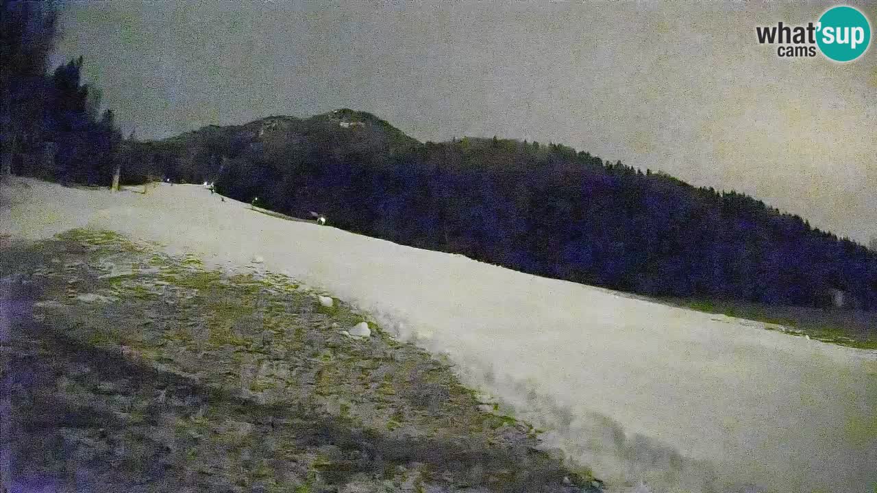 Esquí Kranjska Gora | Brsnina