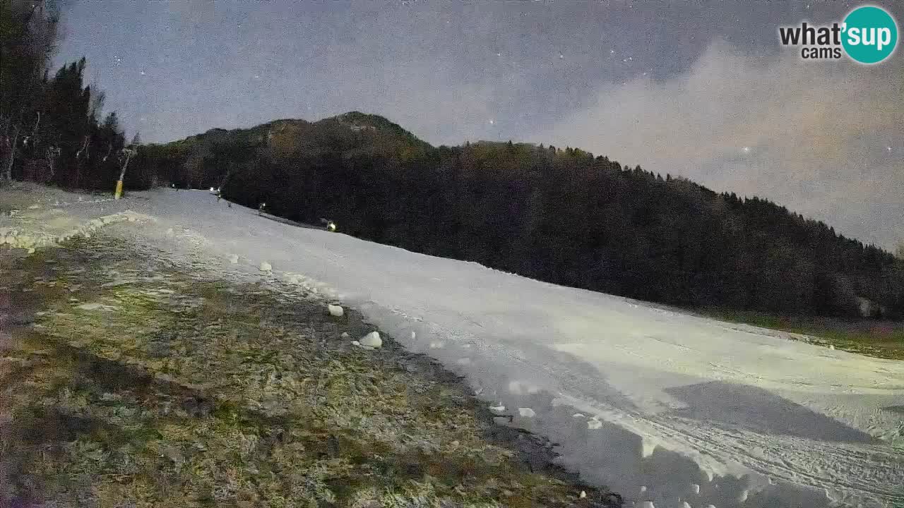 RTC Skigebiet Kranjska Gora | Brsnina