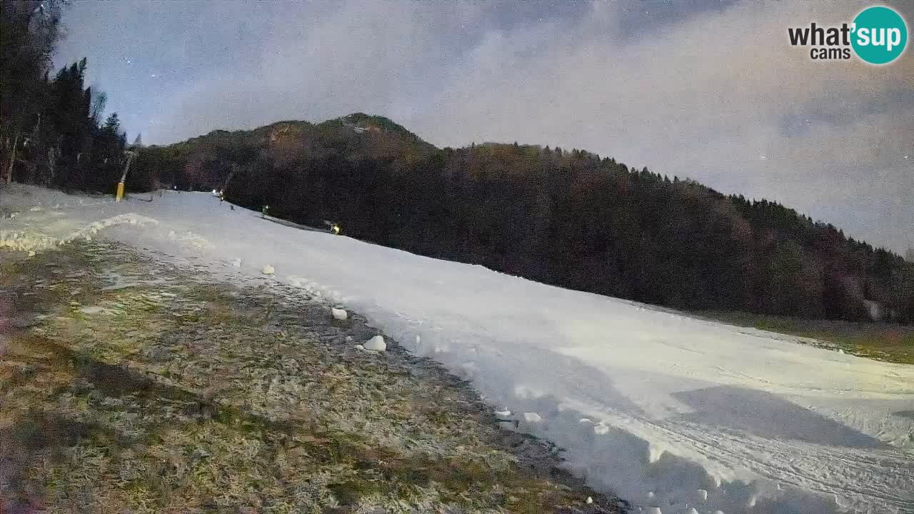 RTC Skigebiet Kranjska Gora | Brsnina