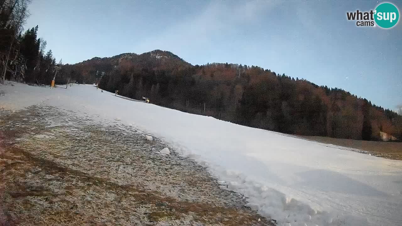Kranjska Gora SKIJANJE | Brsnina