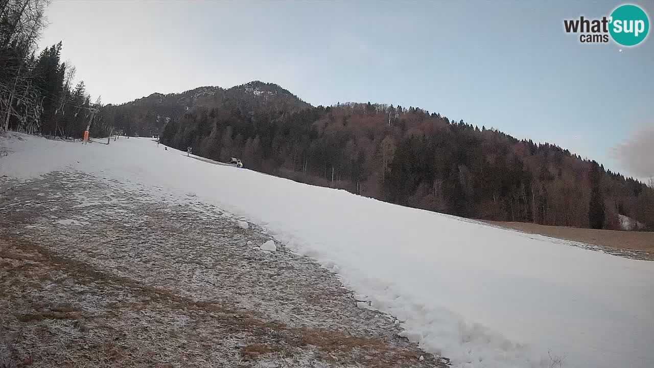 Kranjska Gora Station de ski | Brsnina