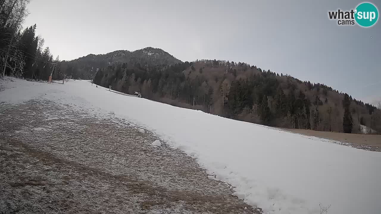 RTC Skigebiet Kranjska Gora | Brsnina