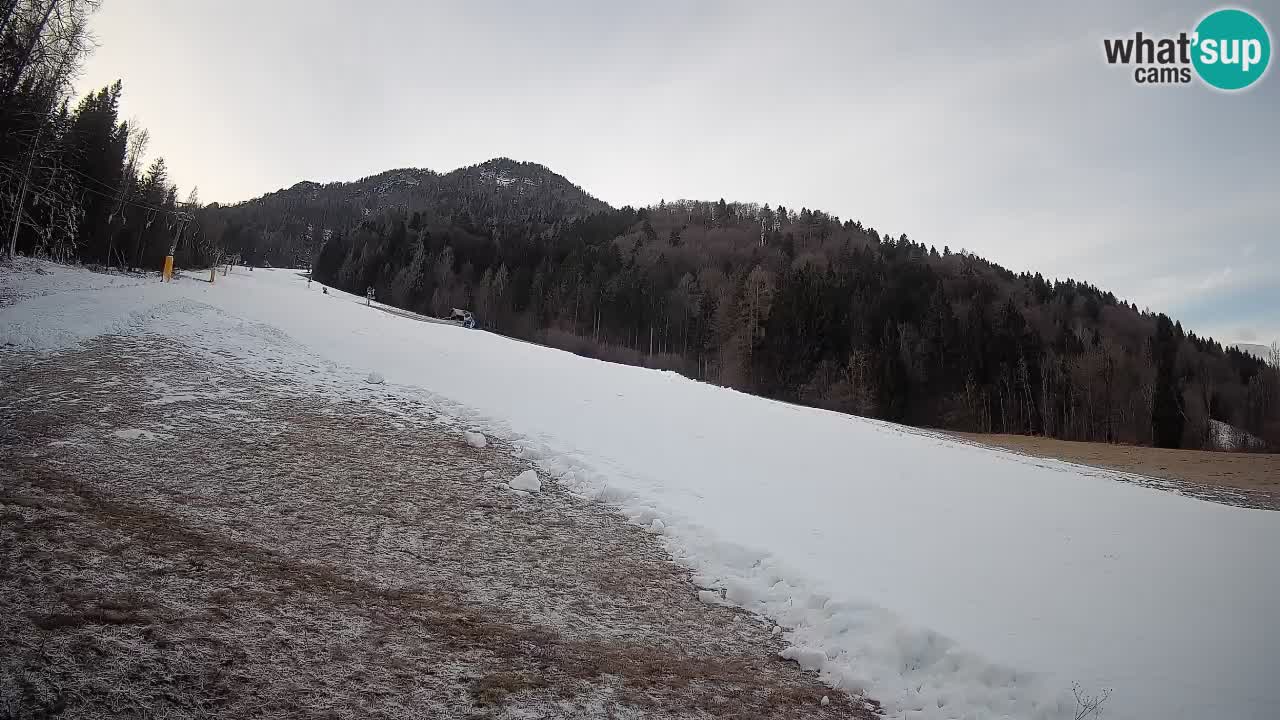 Ski Kranjska Gora | Brsnina