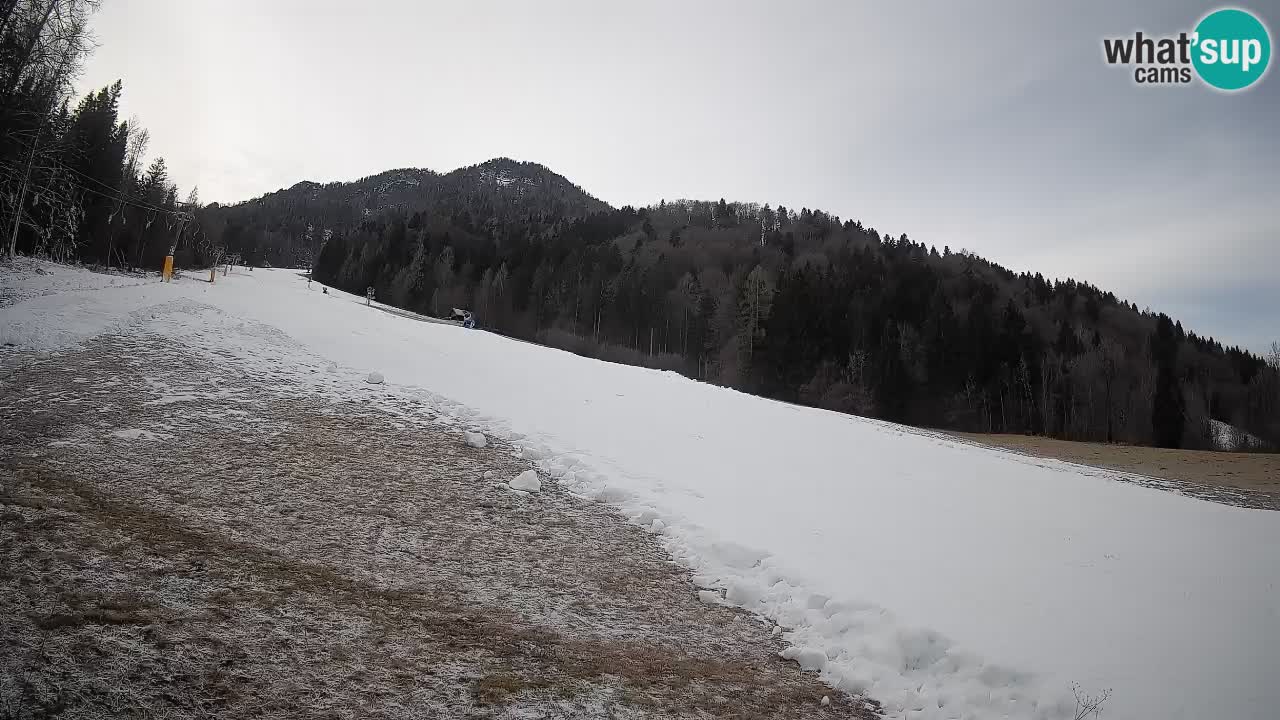 Ski Kranjska Gora | Brsnina