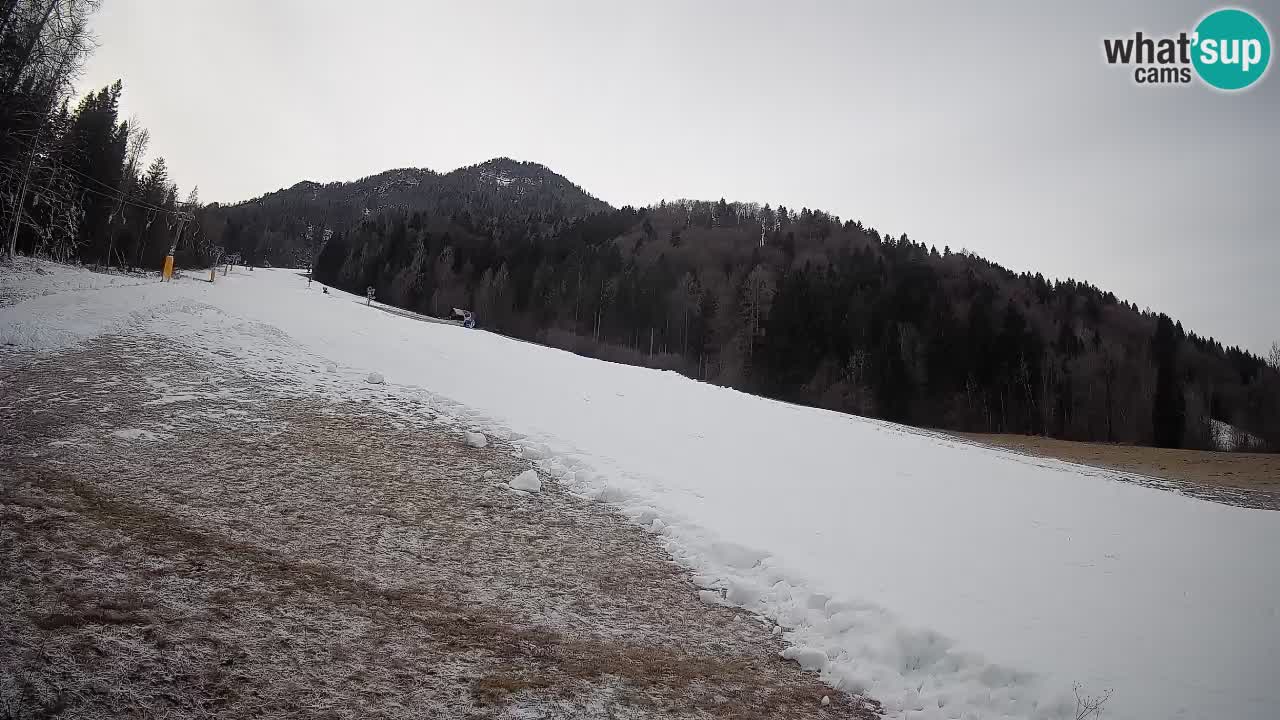 Kranjska Gora Station de ski | Brsnina