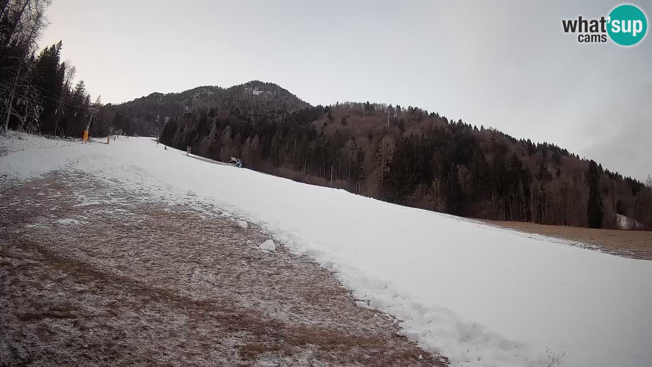 Esquí Kranjska Gora | Brsnina