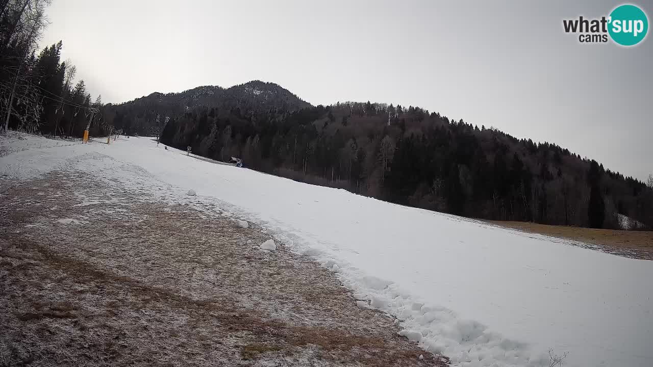 Esquí Kranjska Gora | Brsnina