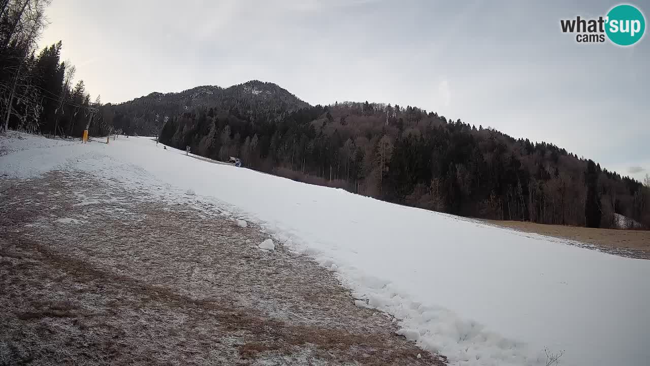 RTC Skigebiet Kranjska Gora | Brsnina