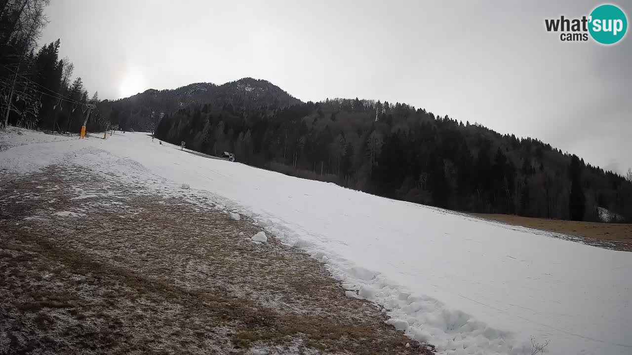 Kranjska Gora SKIJANJE | Brsnina