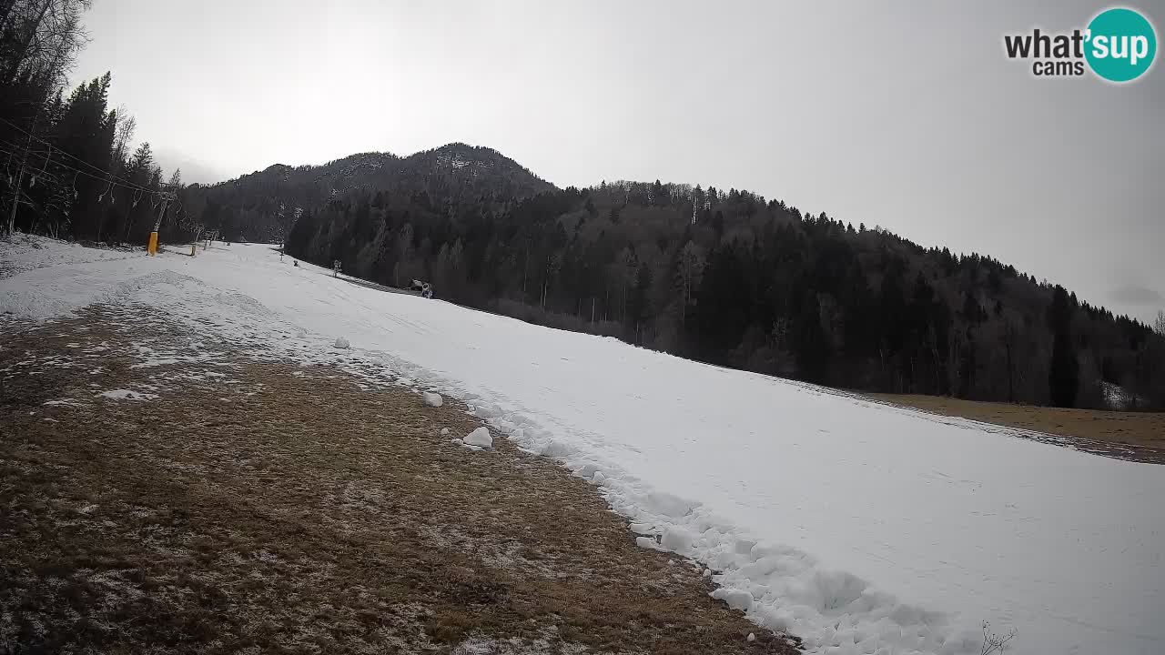 RTC Skigebiet Kranjska Gora | Brsnina