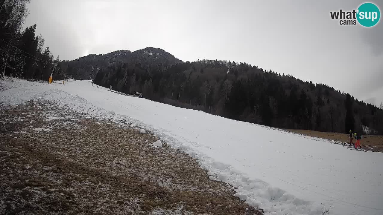Kranjska Gora Station de ski | Brsnina