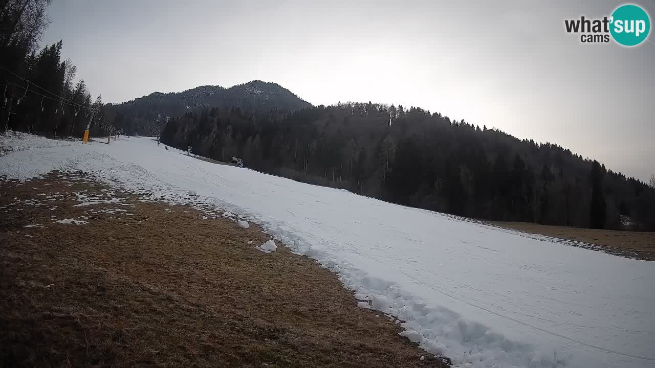 Comprensorio sciistico Kranjska Gora | Brsnina