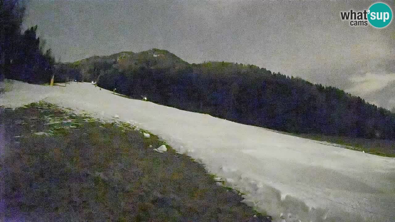 Comprensorio sciistico Kranjska Gora | Brsnina