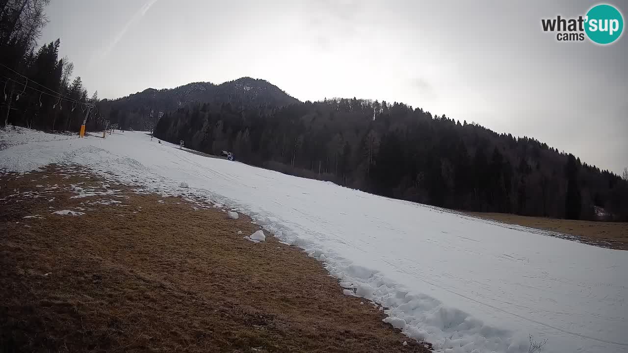 RTC Skigebiet Kranjska Gora | Brsnina