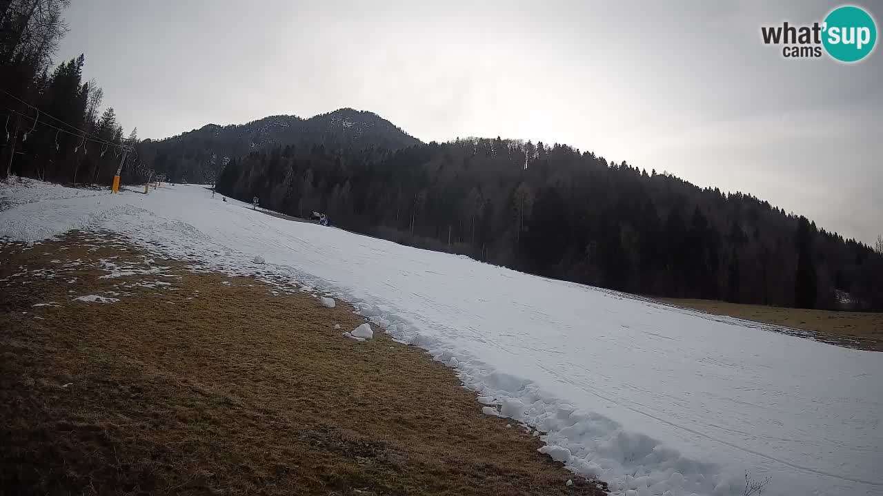 RTC Kranjska Gora | Brsnina