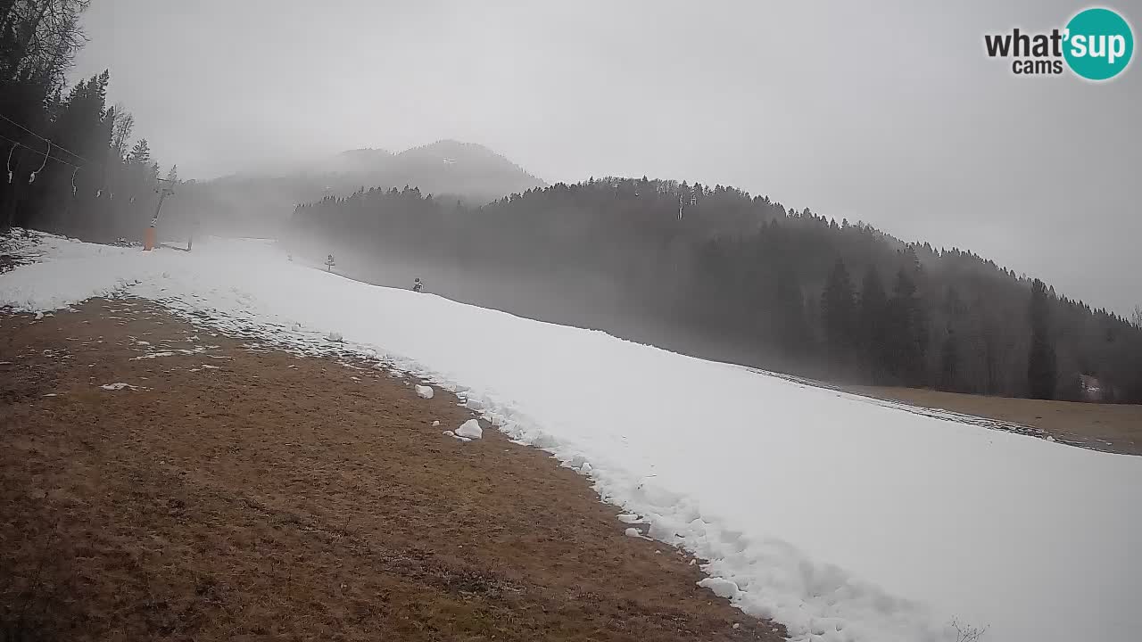 Kranjska Gora Station de ski | Brsnina