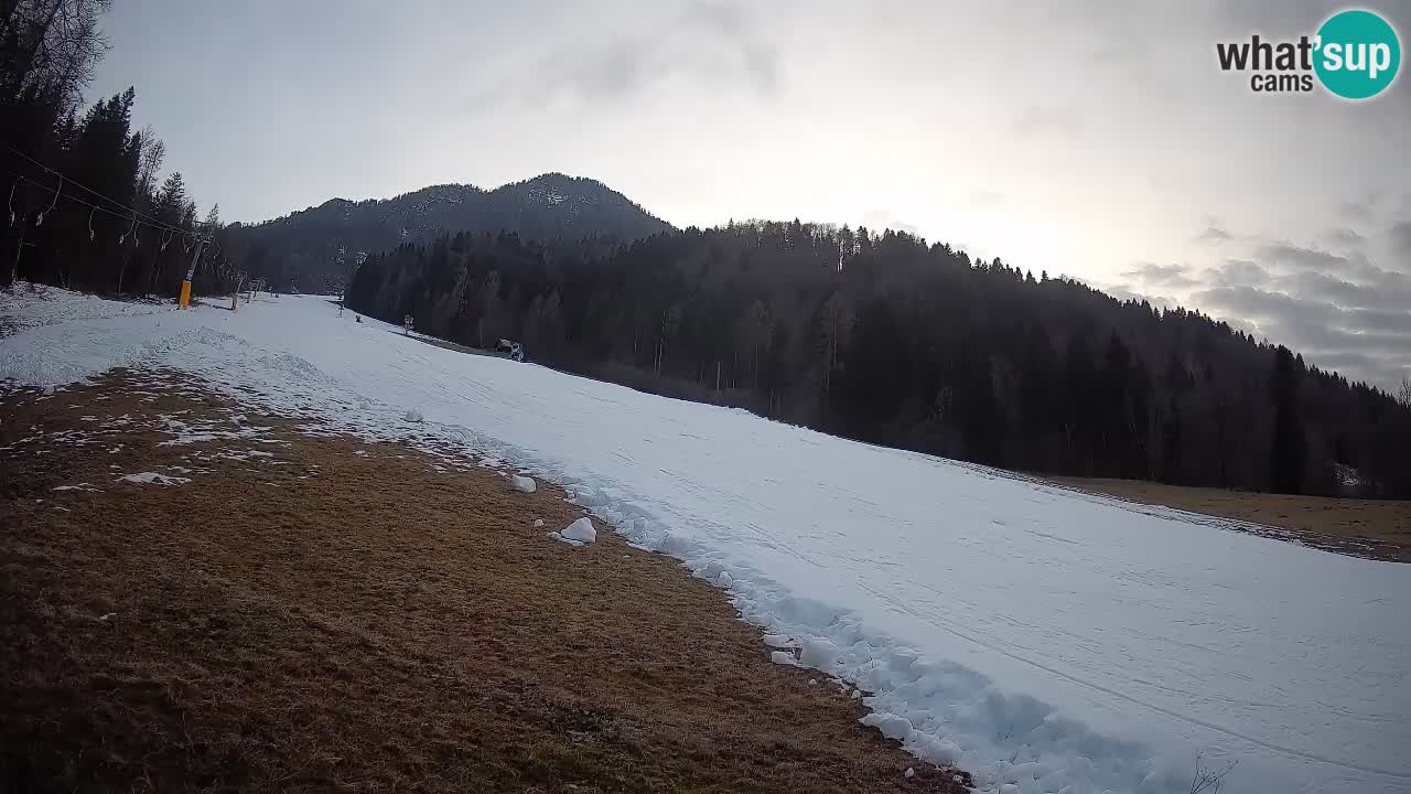 Kranjska Gora Station de ski | Brsnina