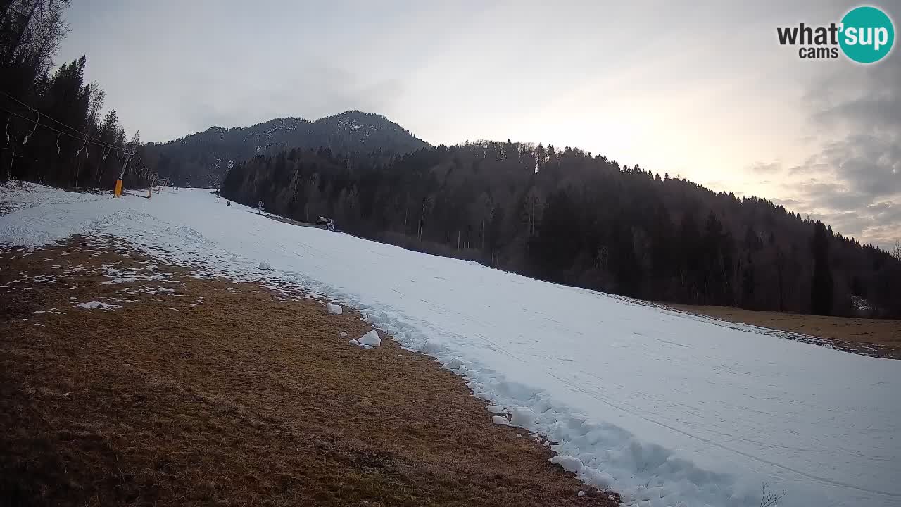 Kranjska Gora SKIJANJE | Brsnina