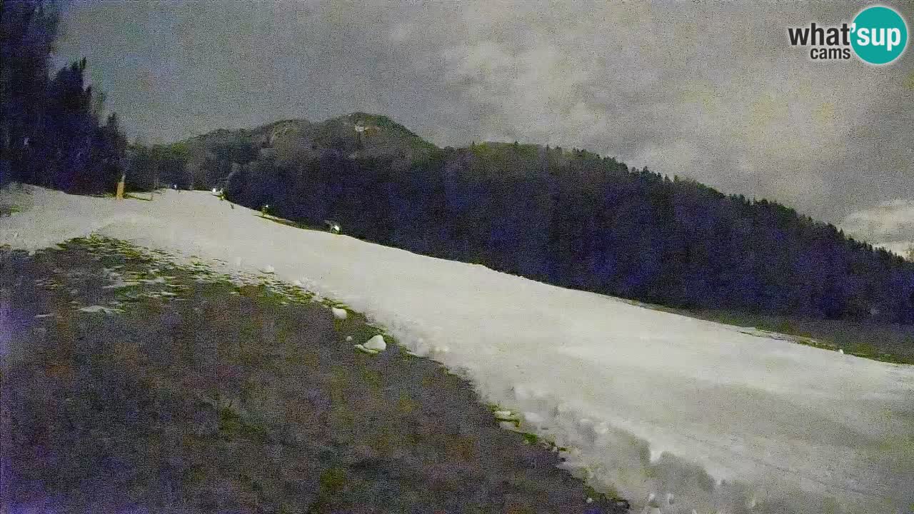 Esquí Kranjska Gora | Brsnina