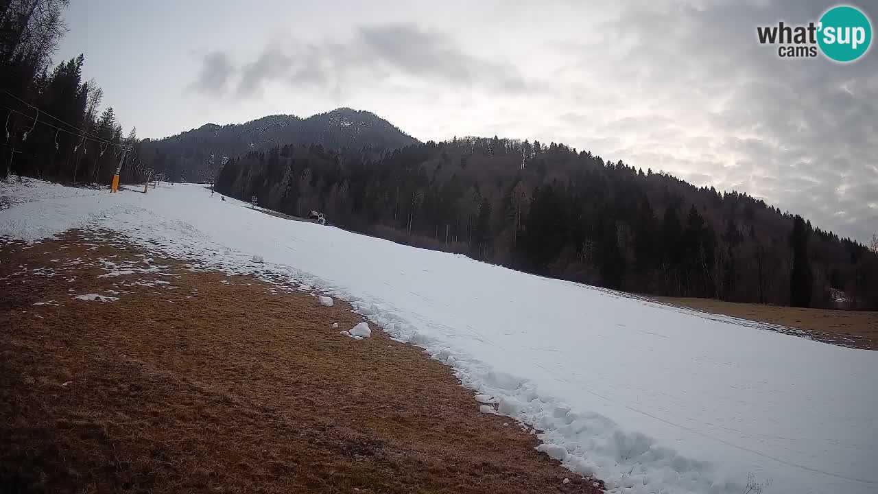 RTC Kranjska Gora | Brsnina