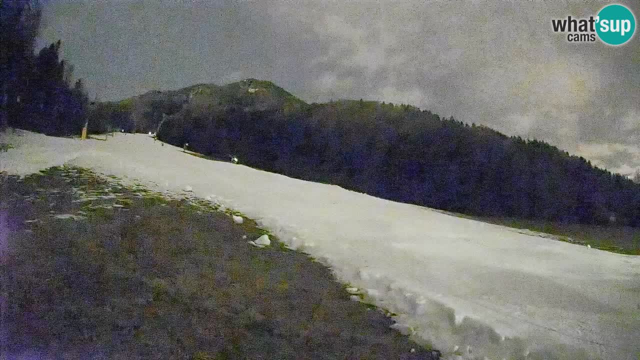 Kranjska Gora Station de ski | Brsnina