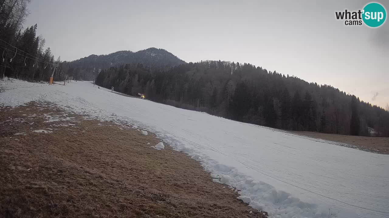 Kranjska Gora Station de ski | Brsnina