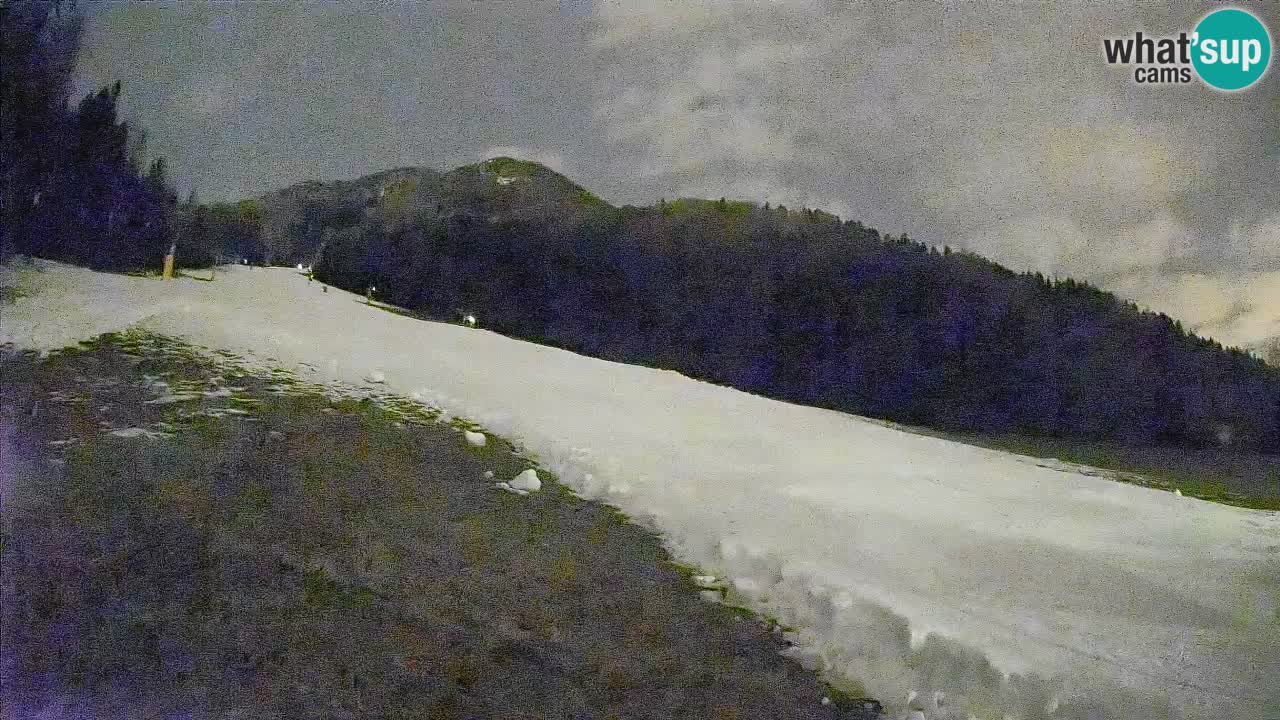 Esquí Kranjska Gora | Brsnina