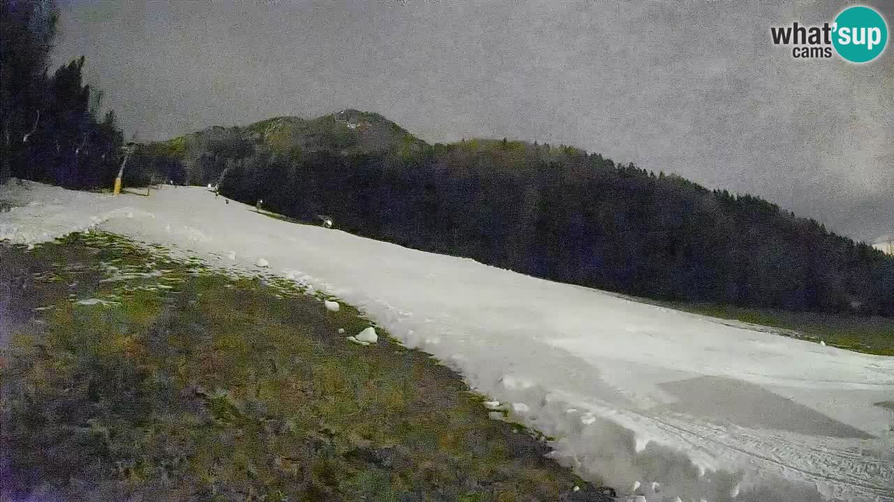 RTC Kranjska Gora | Brsnina