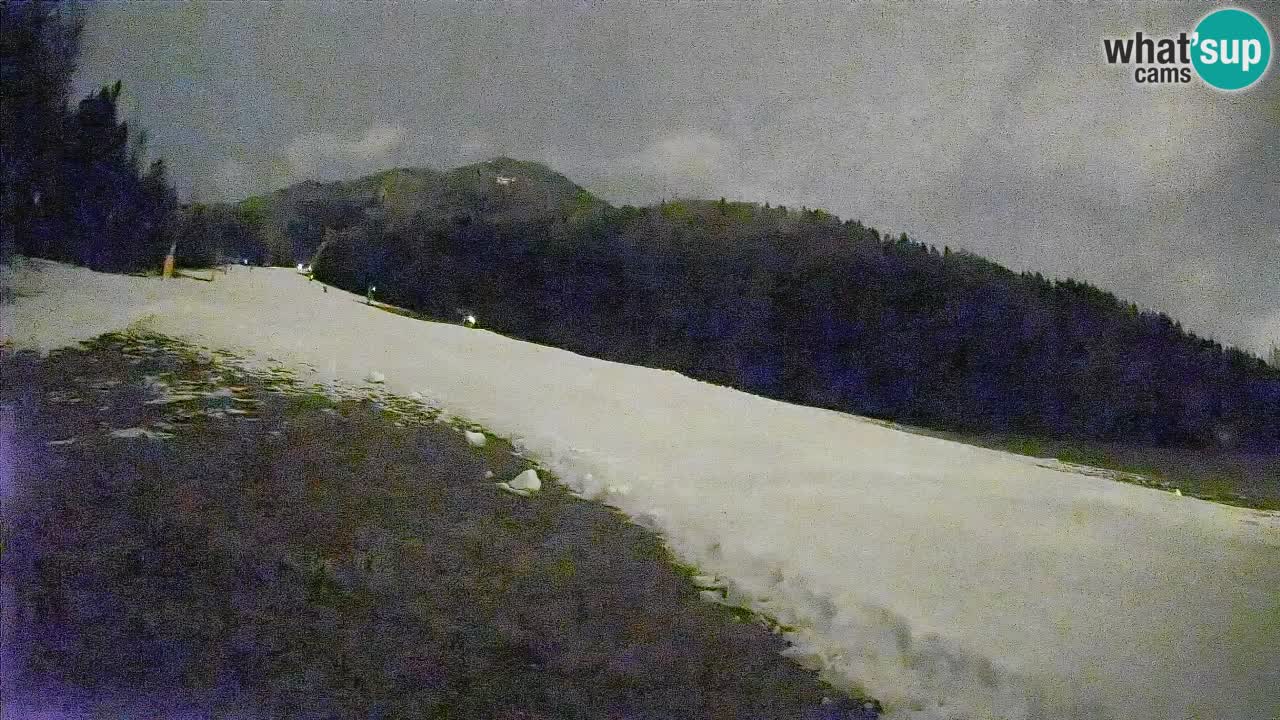 Ski Kranjska Gora | Brsnina