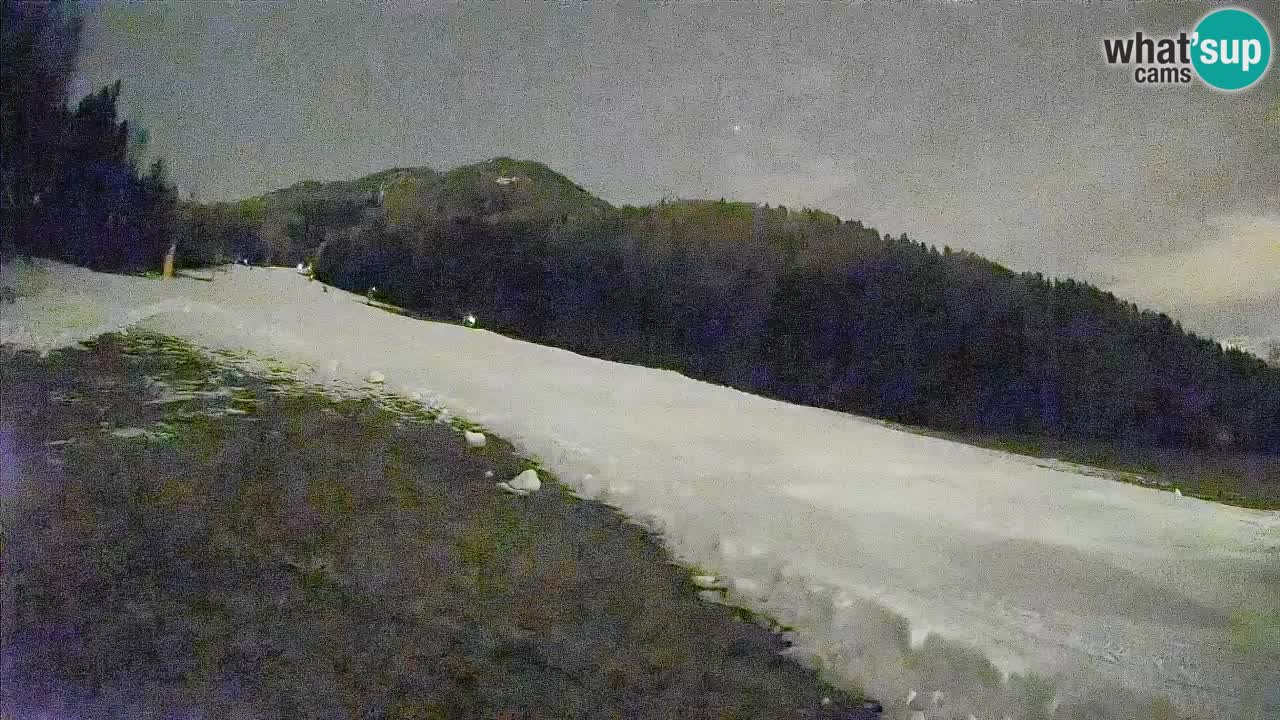 Ski Kranjska Gora | Brsnina